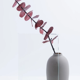 CLEAR GLASS TEMPERED