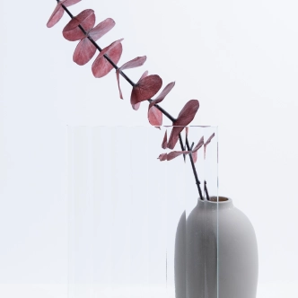 GLASS FLUTES TEMPERED